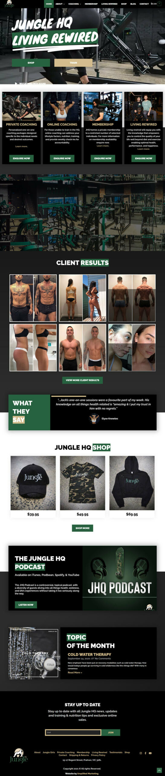 Jungle HQ full page screenshot - Case Study by Amplified Marketing